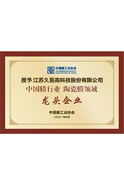 中国膜行业国产麻豆黄色电影领域龙头企业